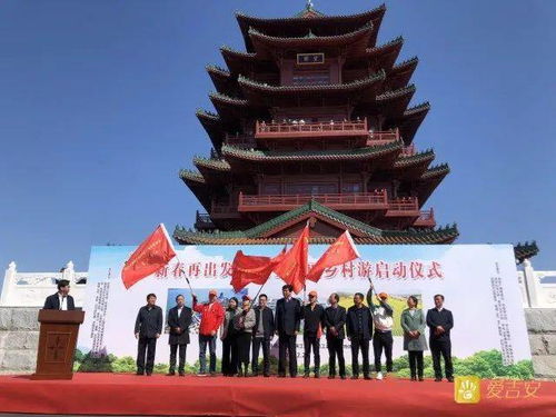 乘风直播引发热议，吉安出海与明星热搜齐飞