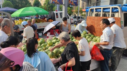 “以旧换新”进乡村，一场惠民惠商的双向奔赴
