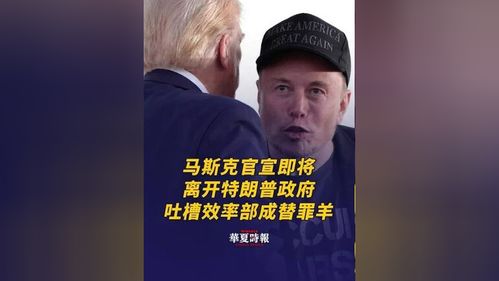 马斯克离开政府效率部