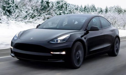 特斯拉门店外民众抗议