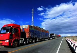 46岁卡车司机高原缺氧去世，未领证妻子扛起5个娃的未来