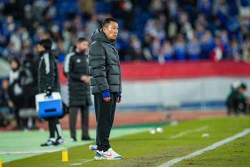 王大雷低头致歉