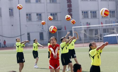 学生做伸展运动