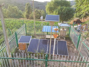 田间观测机器人正在检测作物生长状态