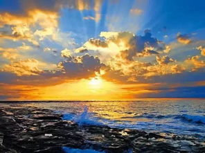 海湾“变美”关键在哪？看中国方案如何守护蔚蓝海洋