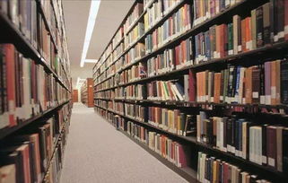 现代人在图书馆阅读经典书籍