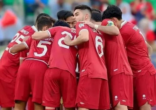 国足0-1不敌印尼 无缘世界杯，球迷心碎：我们到底输在哪？