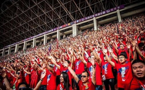 球迷在球场呐喊助威