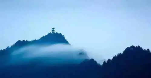 临江仙霸道玄尊爱上我：一场修仙路上的意外情缘