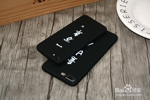 年轻人拿着太湖三傻手机壳拍照