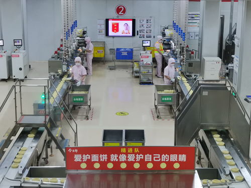 今麦郎生产线场景图