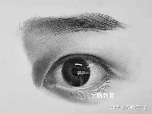 眼部结构与用眼过度的关系示意图