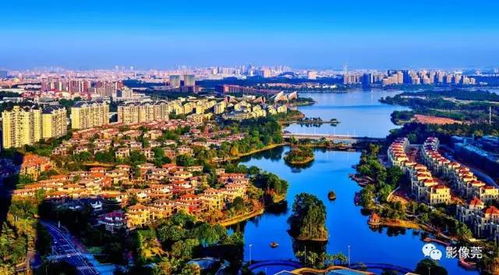 松山湖绿道夜景