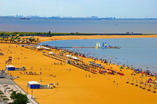 天津东疆海滩游客休闲