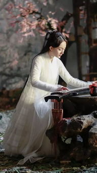 临江仙雨中初遇剧照