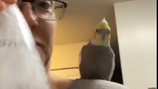 家属面对镜头讲述事件经过