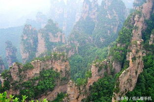 亚洲新声抵达阿凡达秘境：一场穿越现实与幻想的音乐盛宴