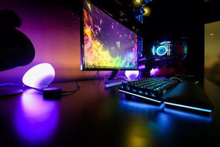 沉浸式音响设备在秘境中布置现场