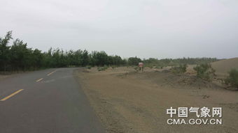 三北工程攻坚战：治沙展“新”颜，科技赋能绿色奇迹