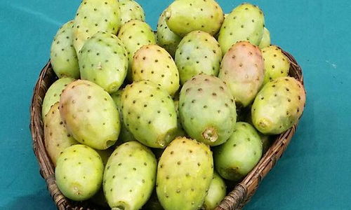 切开的仙人掌果露出白色果肉