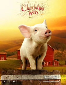 夜晚农场一角的小猪威尔伯