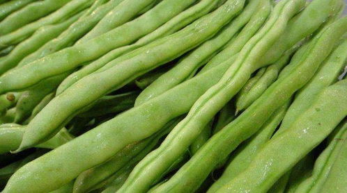 四季豆浆养生图示