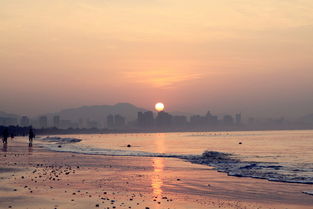 三亚女游客被不明物咬伤身亡 真相到底是什么？