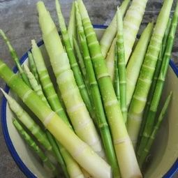 新鲜苦竹笋摆盘