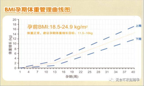 体重管理宣传图