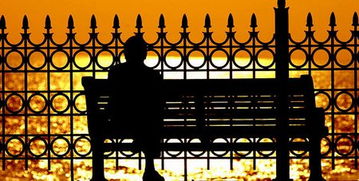 三宝1文字中的宁静画面