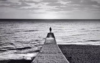 夕阳下王林背影孤独而坚定