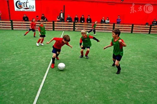 孩子在足球场边写作业