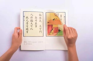 语文书与笔记本