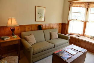 阳光洒进整洁的客厅