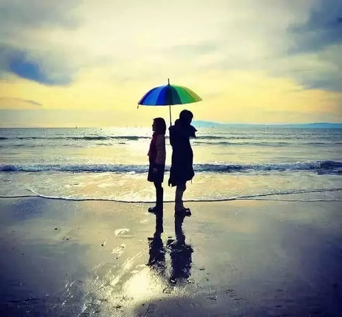 夫妻两人手牵手走在阳光下的背影