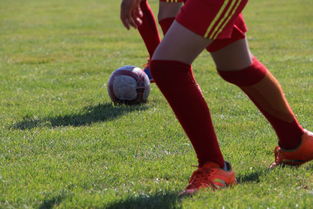 足球从娃娃抓起 江苏对这事是认真的