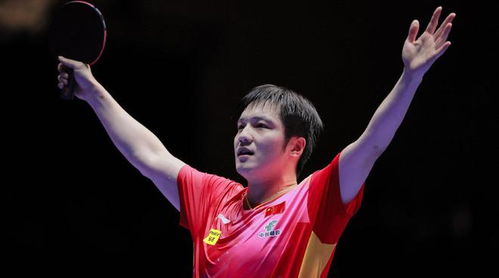 樊振东手持手机自拍回应粉丝提问