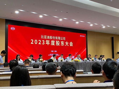 比亚迪股东大会上王传福哽咽：我们从不拉踩别人，这是原则