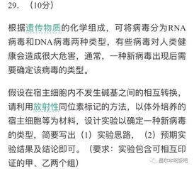 想起我当年的高考作文：那些年写下的青春与梦想
