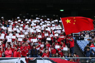 球迷在看台上高举自制标语牌