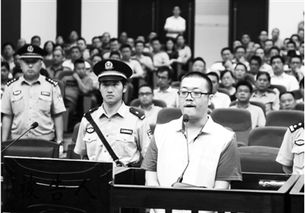 女子薅国家羊毛被判三年，网友：聪明反被聪明误