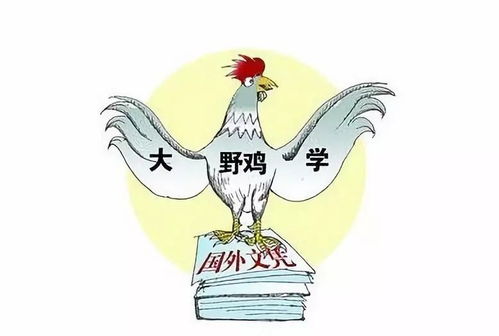 野鸡大学宣传单页示例图片