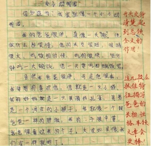 老师批改作文