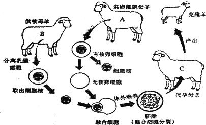见手青切下立马变色，网友直呼神奇！这背后的科学你了解吗？