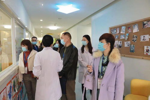 三亚卫健委工作人员查看病历