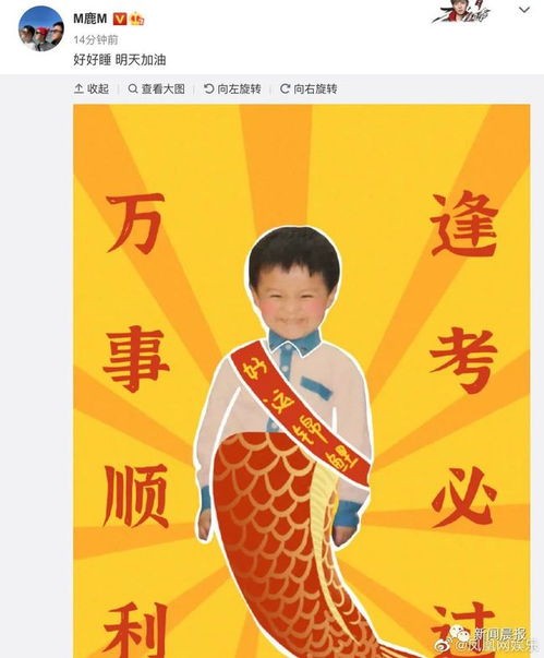 威海图书馆端午节高考祝福手工活动