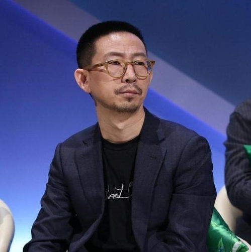 丁太升在节目中的评论画面