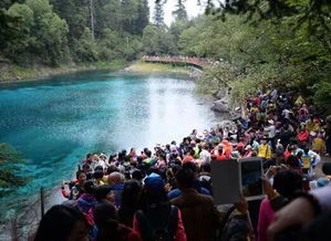 桃花潭景区游客拥挤和停车混乱场景