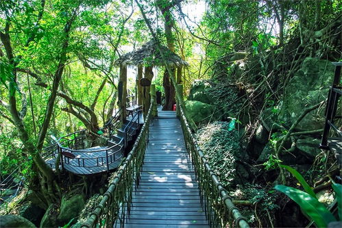 三亚热带雨林景区