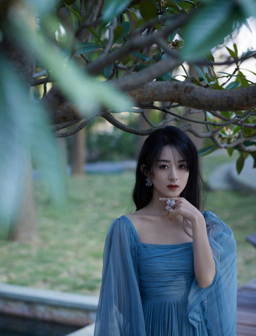 赵丽颖金发与黑发对比图